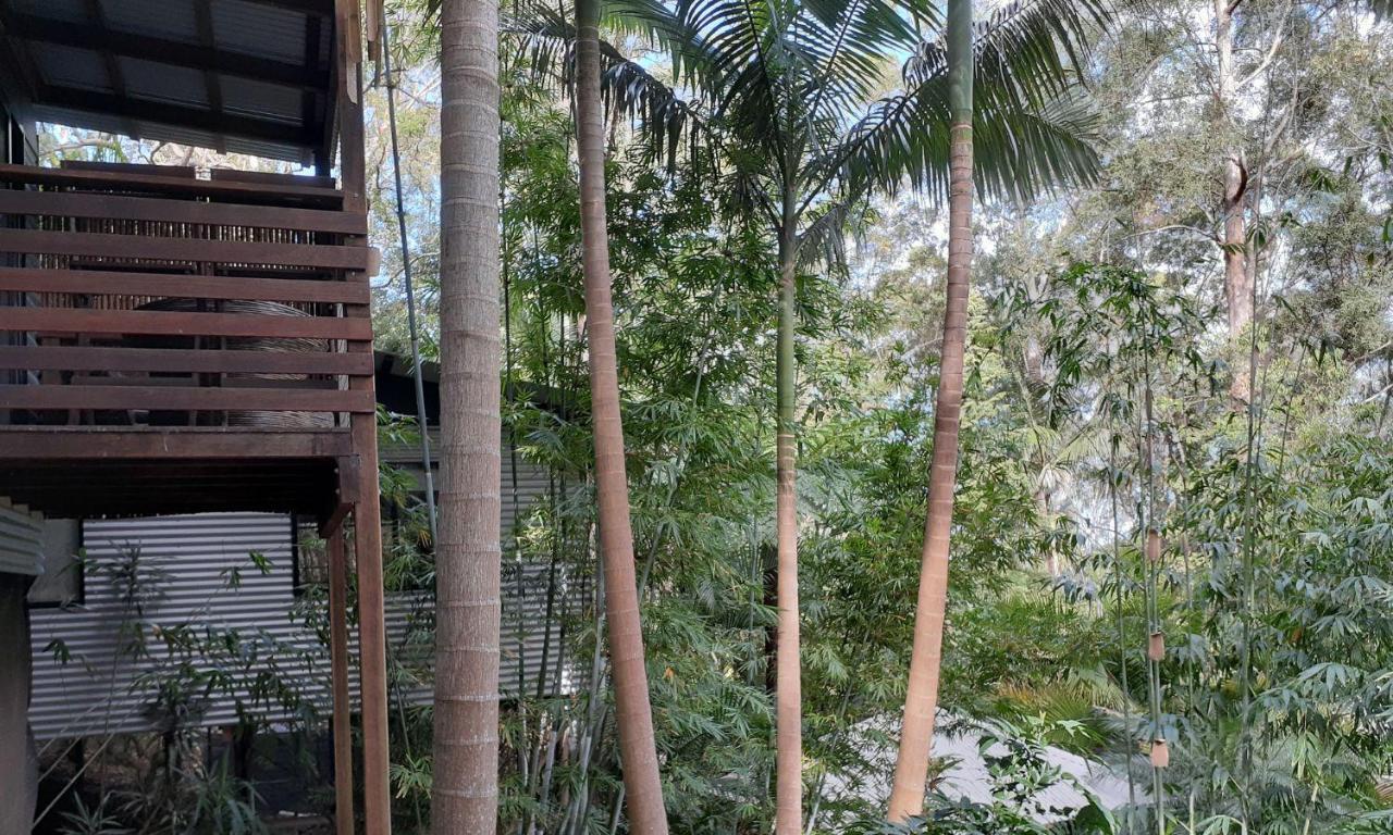 Bed and Breakfast Alaya Escape Eudlo Экстерьер фото