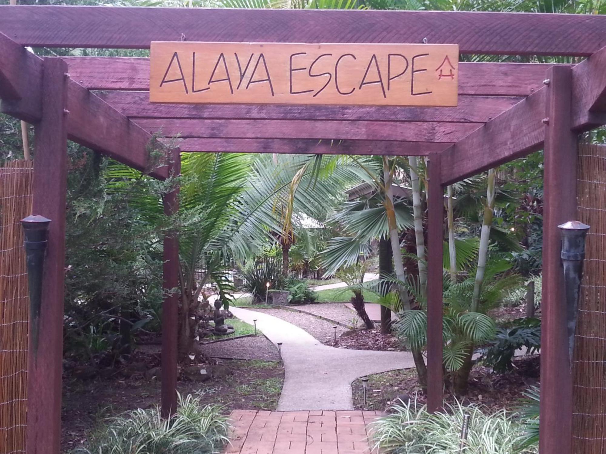 Bed and Breakfast Alaya Escape Eudlo Экстерьер фото