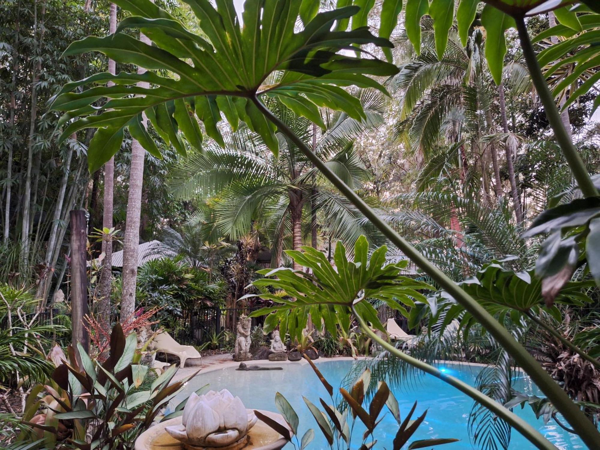 Bed and Breakfast Alaya Escape Eudlo Экстерьер фото