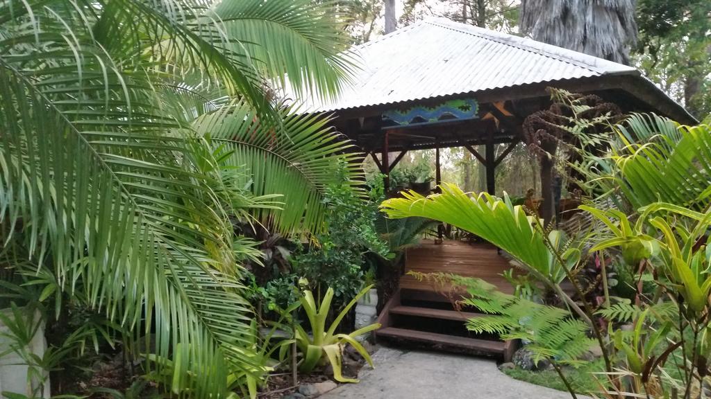 Bed and Breakfast Alaya Escape Eudlo Экстерьер фото